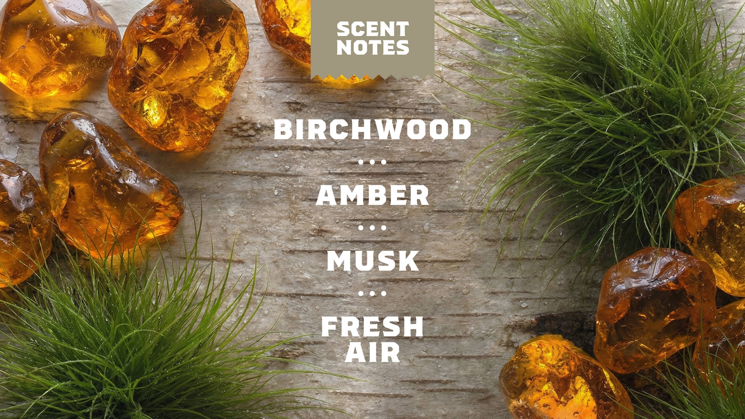 Dr. Squatch Soap Birchwood Breeze - Image 4