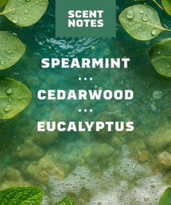 Alternative view of Dr. Squatch Soap Rainforest Rapids Deodorant