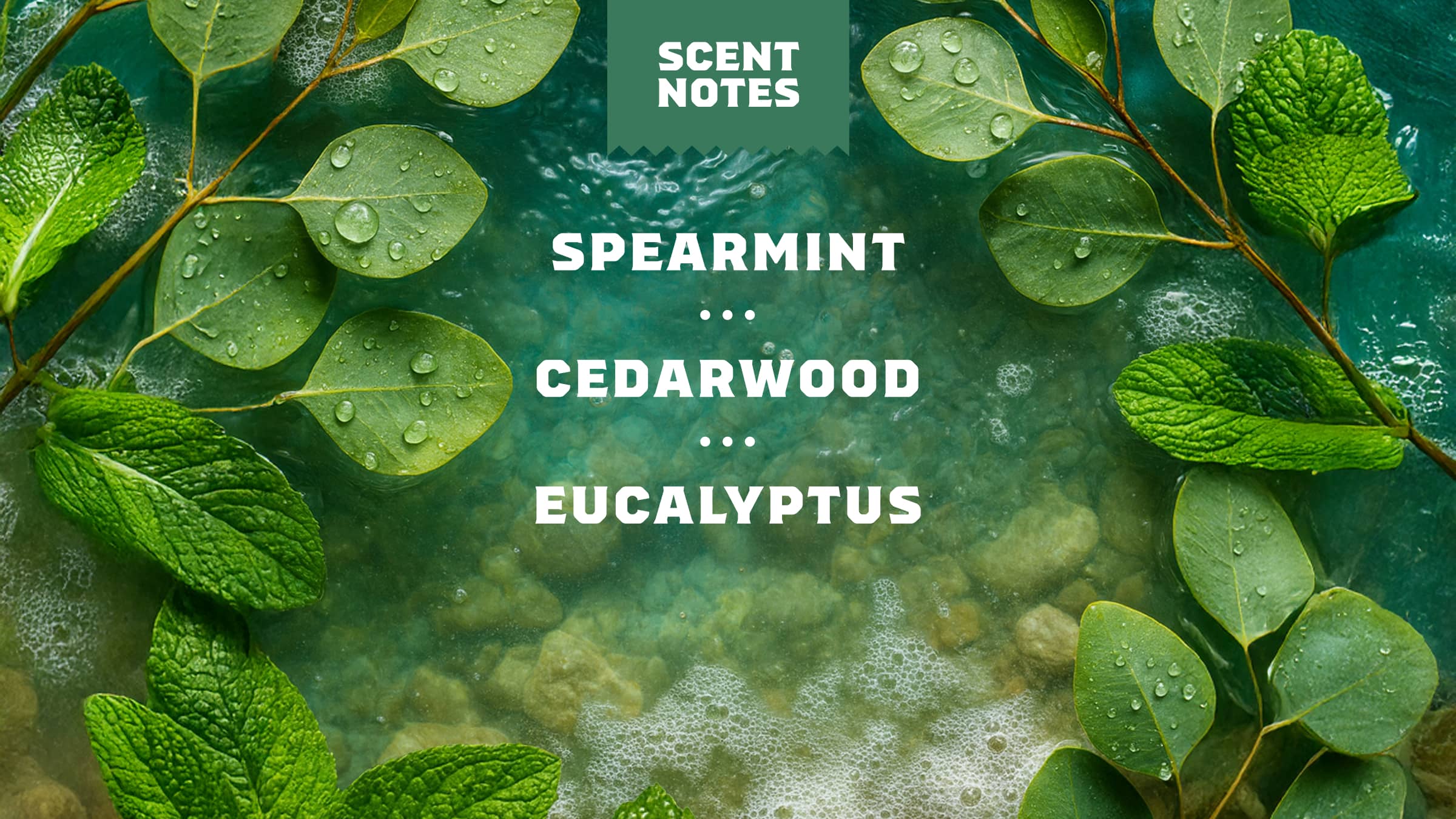 Dr. Squatch Soap Rainforest Rapids Spray Deodorant - Image 4