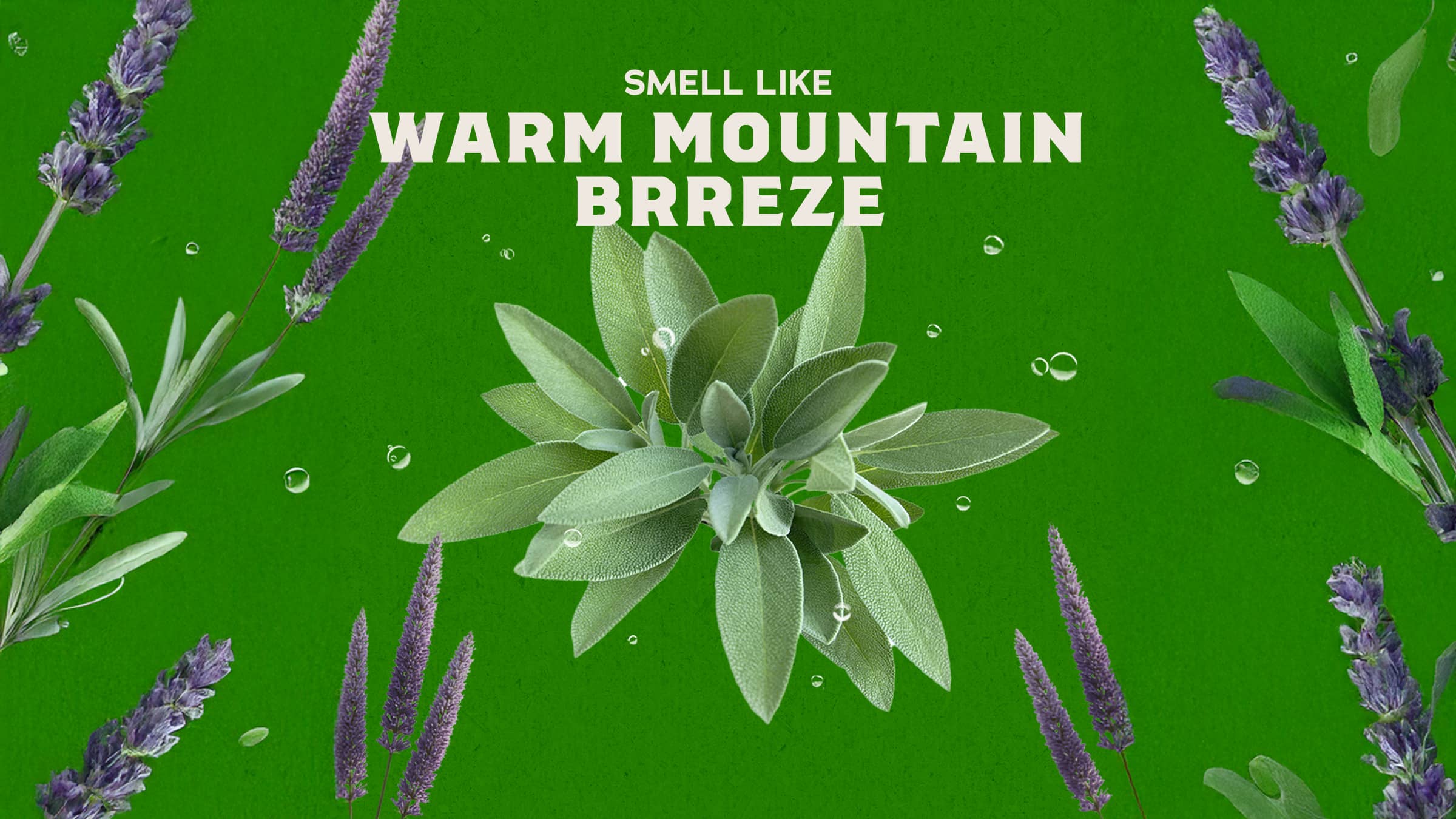 Dr. Squatch Soap Alpine Sage - Image 3