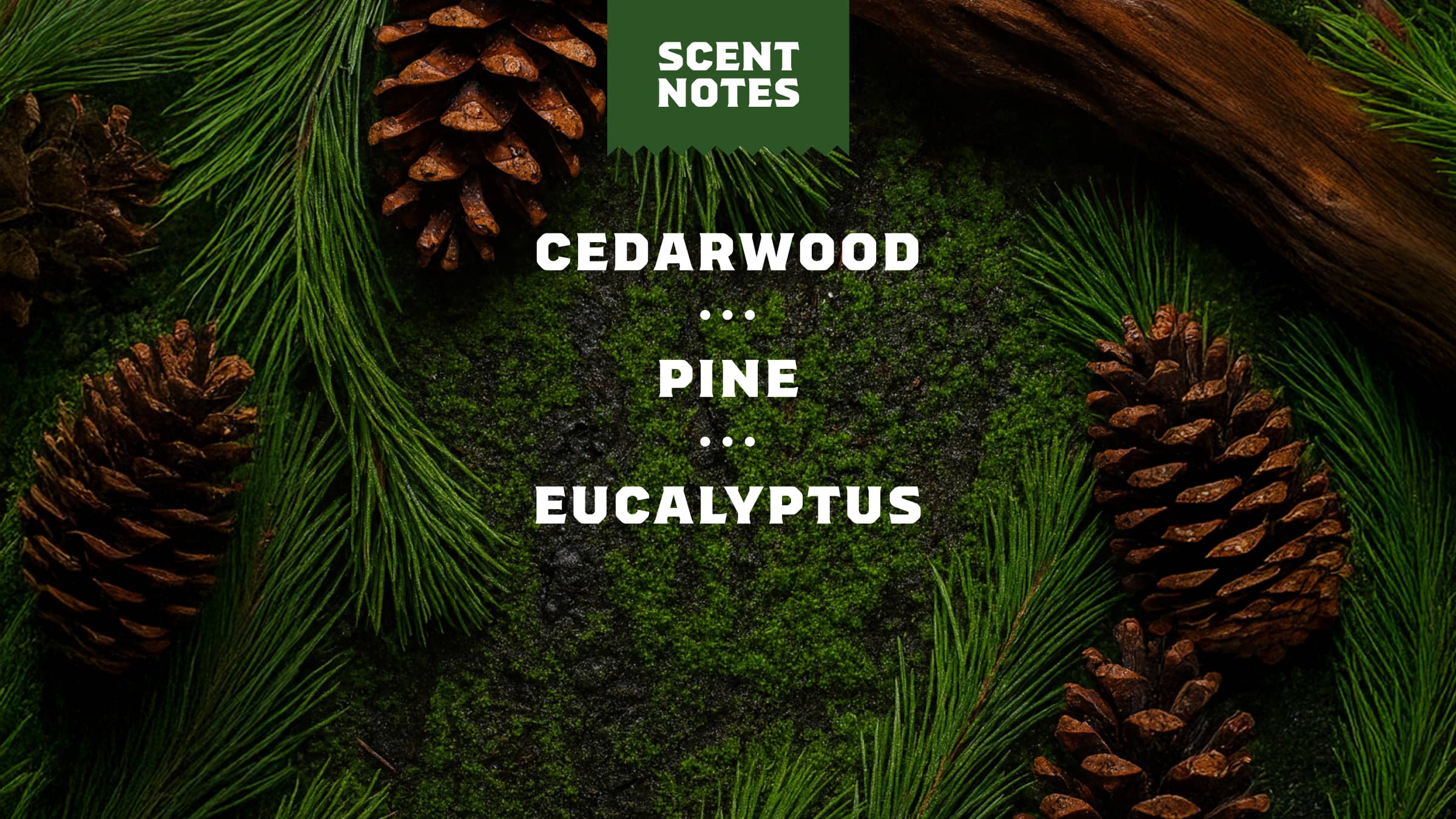 Dr. Squatch Soap Pine Tar Conditioner - Image 3