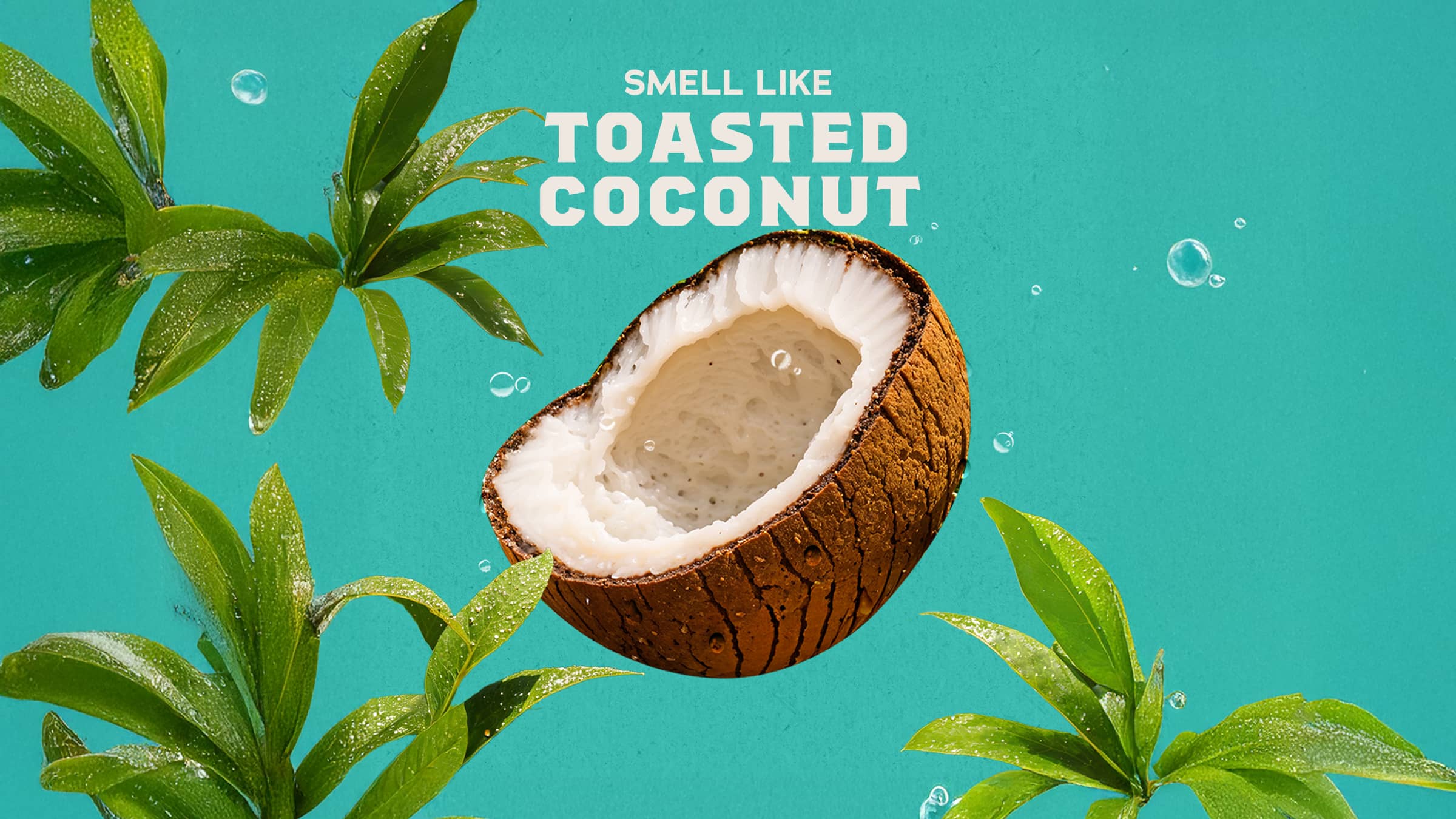 Dr. Squatch Soap Coconut Castaway Conditioner - Image 3