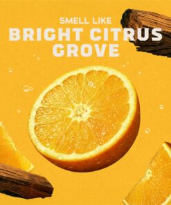 Alternative view of Dr. Squatch Natural Summer Citrus