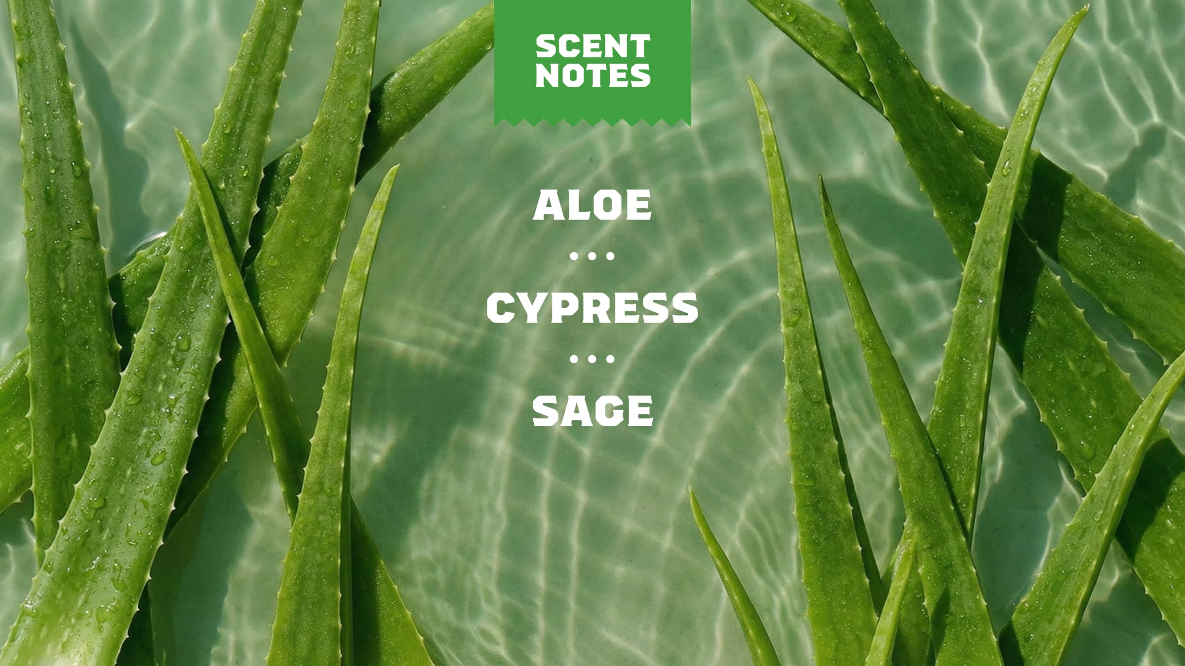 Dr. Squatch Soap Cool Fresh Aloe - Image 4