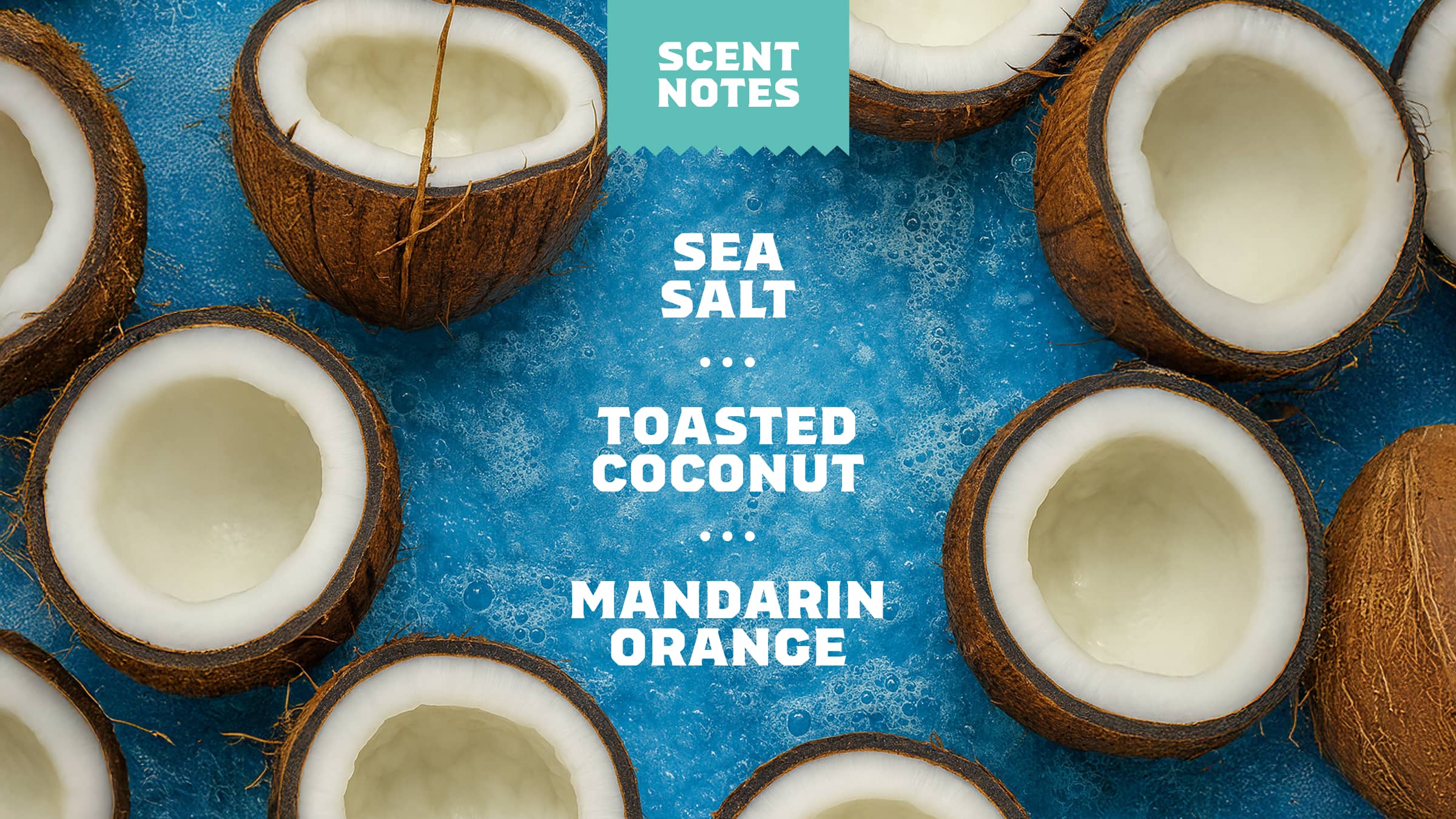 Dr. Squatch Soap Coconut Castaway Conditioner - Image 4