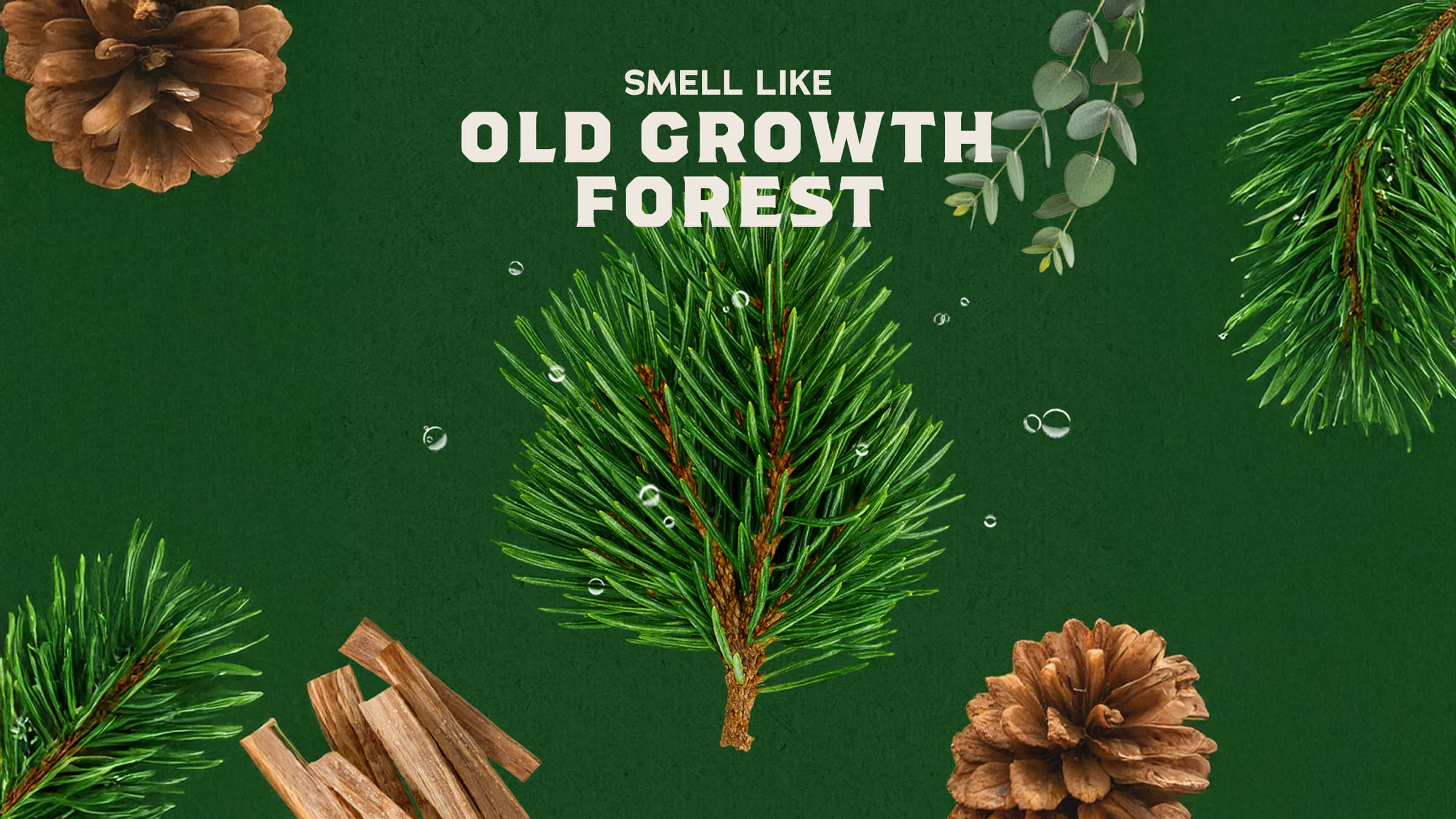 Dr. Squatch Soap Pine Tar Conditioner - Image 2